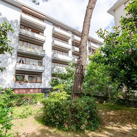 Joivy Apollo * Rapallo